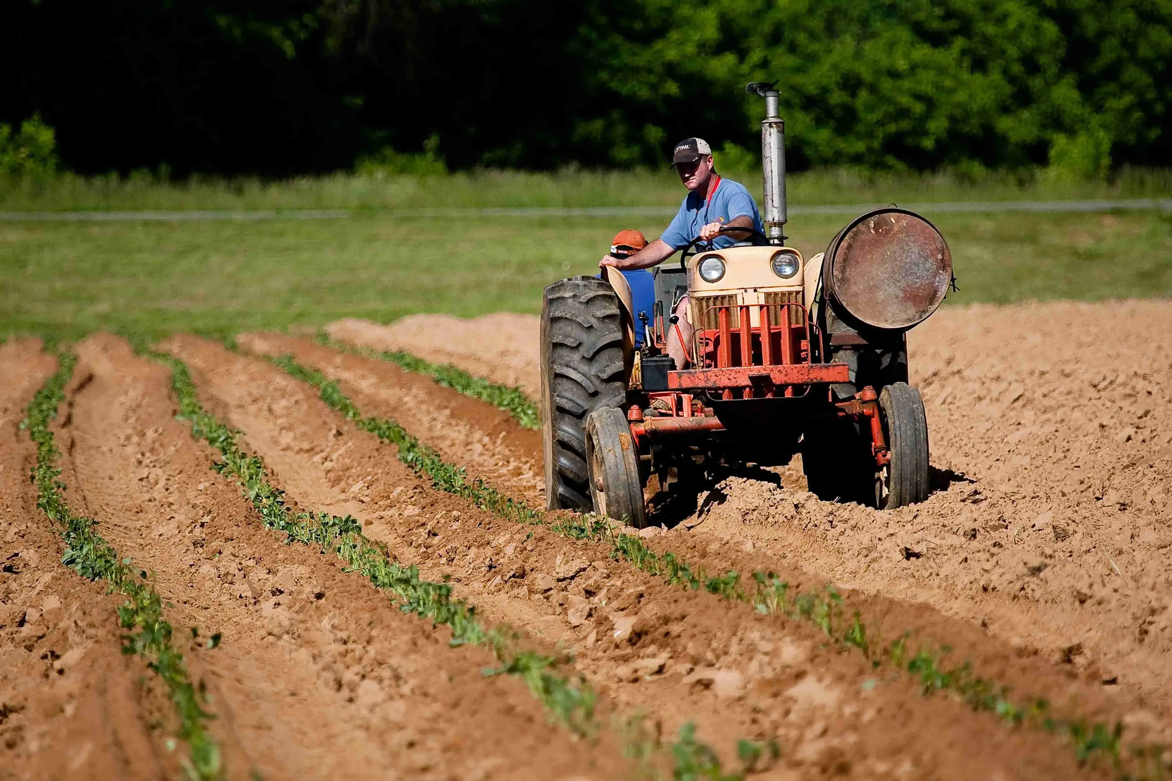 Agriculture